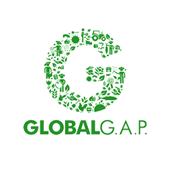 Global GAP