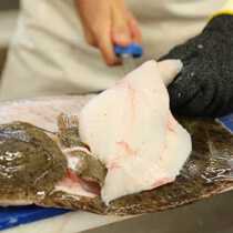 skilled fishmonger cutting open a fillet fish